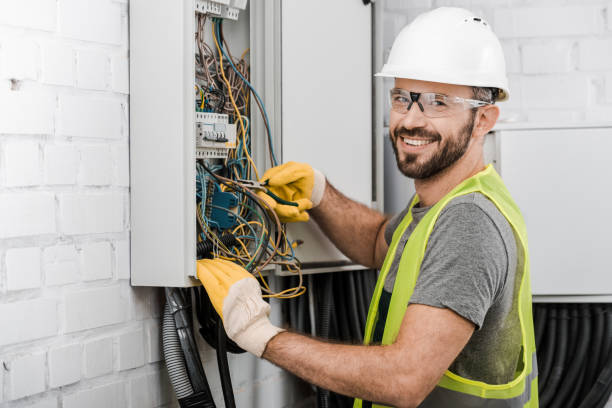 Best Electrical System Inspection  in Mapleton, MN